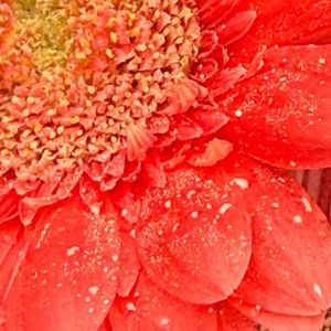 Meet your Posher, Myrna